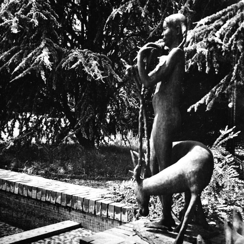 Villa Borsani a Varedo fotografata da Elio Luxardo 5