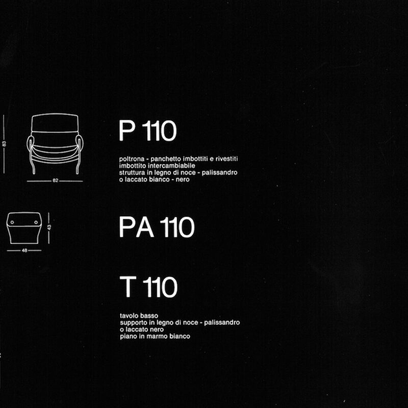 P110 - scheda